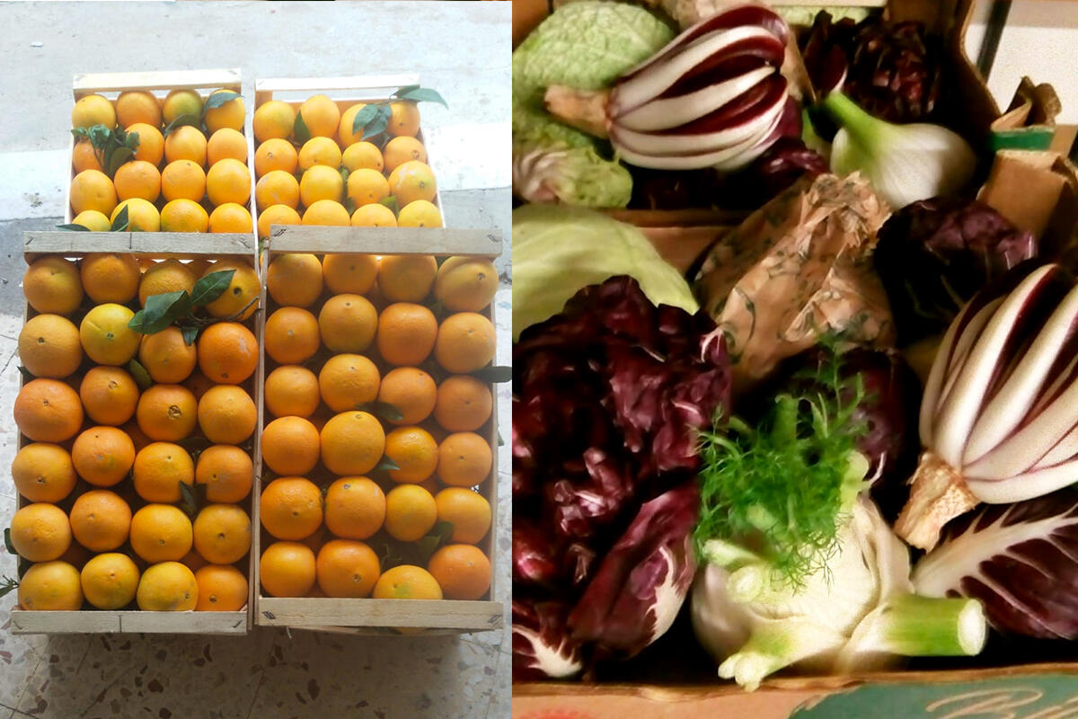 gas-acquisto-solidale-mestre-alimentari-frutta-verdura
