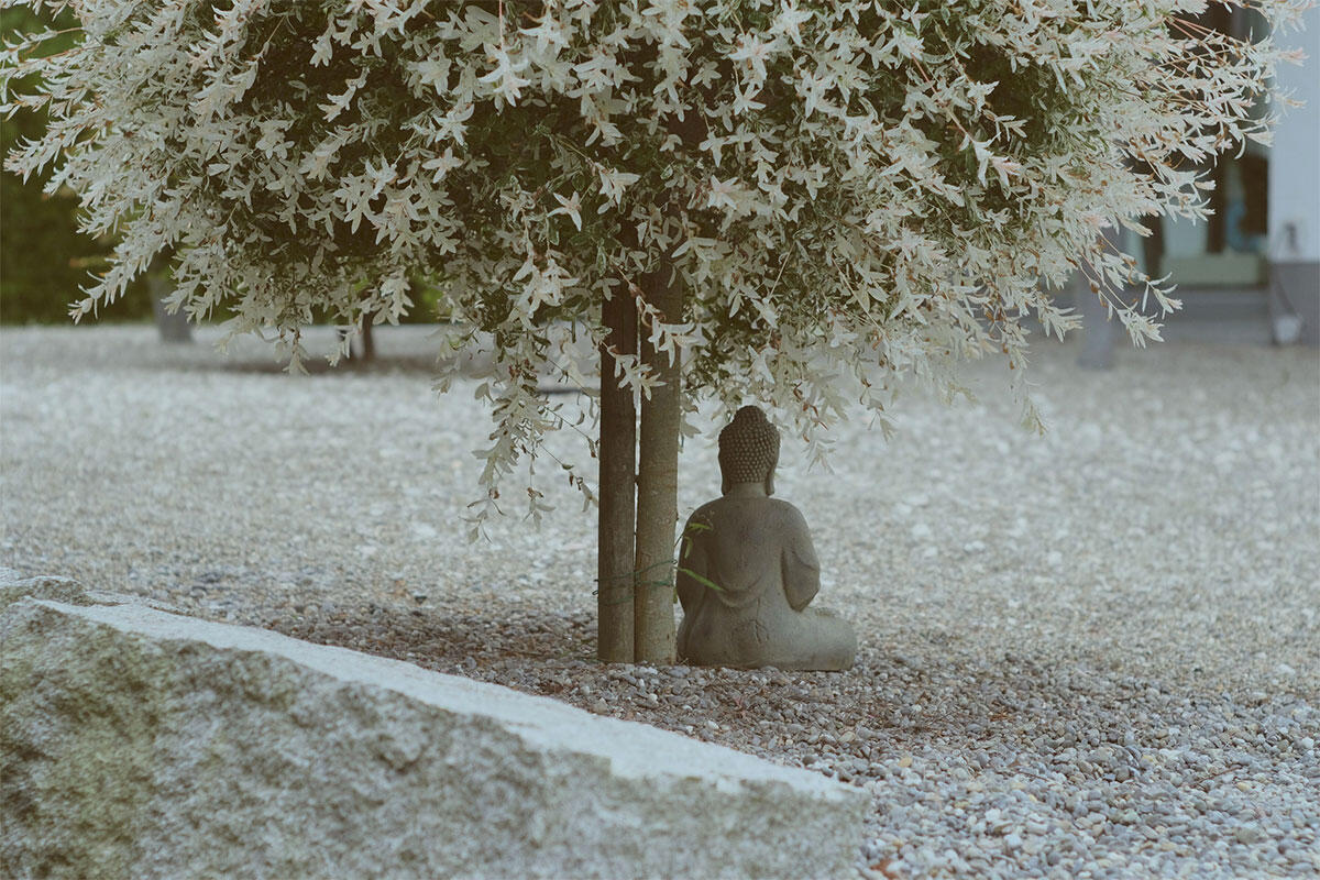 mindfulness-e-disturbo-attenzione