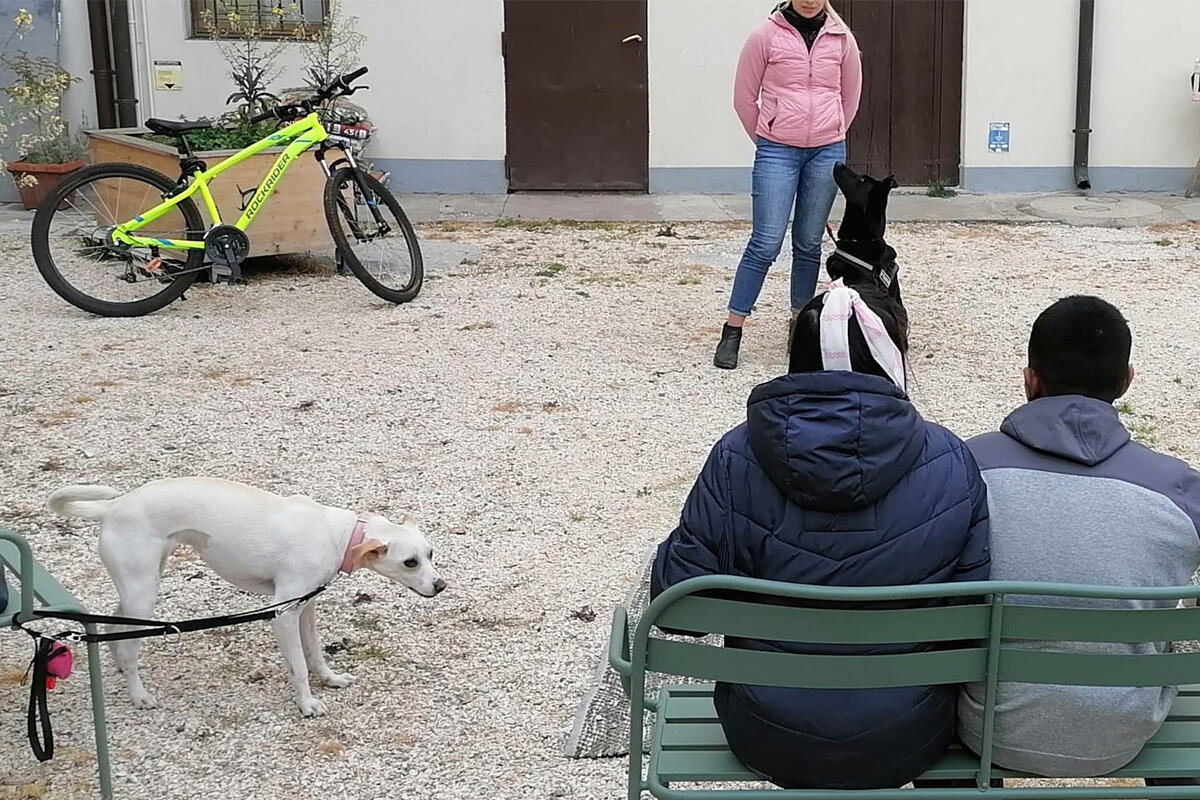 corsi-educazione-portineria-di-quartiere-via-piave-mestre