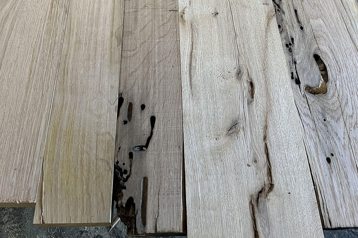 tavole-di-legno-di-bricola-con-segni-di-teredine