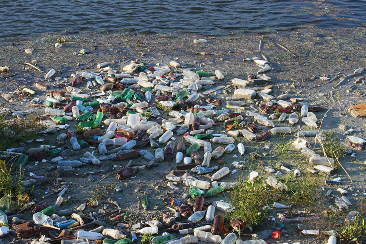 bortoluzzi-plastica-spiaggiata-mare