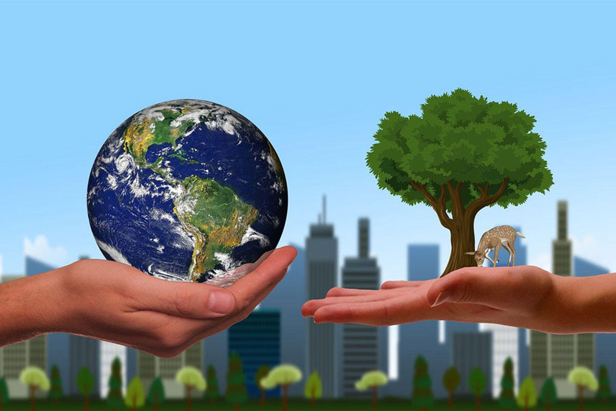 panese-antibiotici-salute-globale