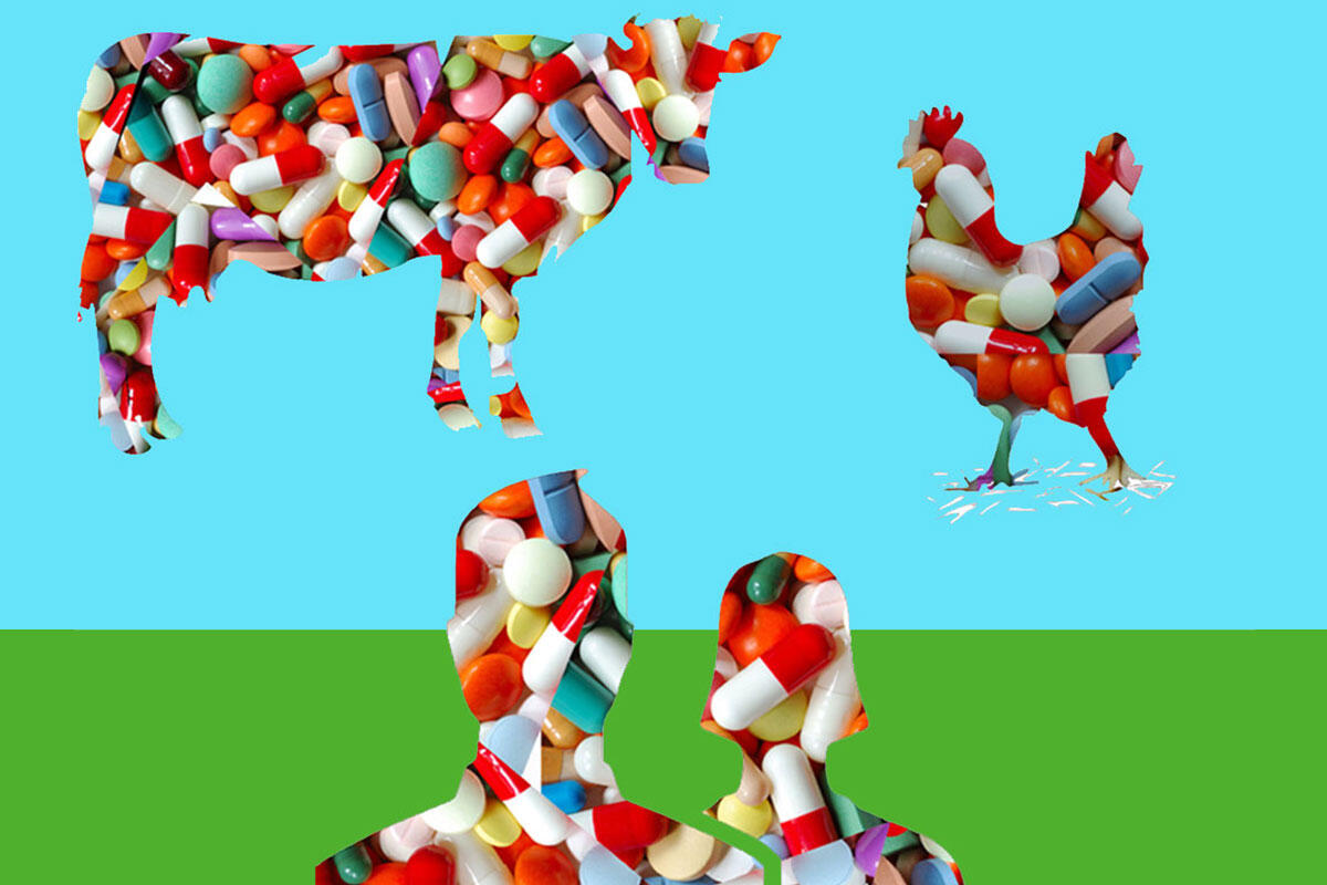 panese-settori-utilizzo-antibiotici