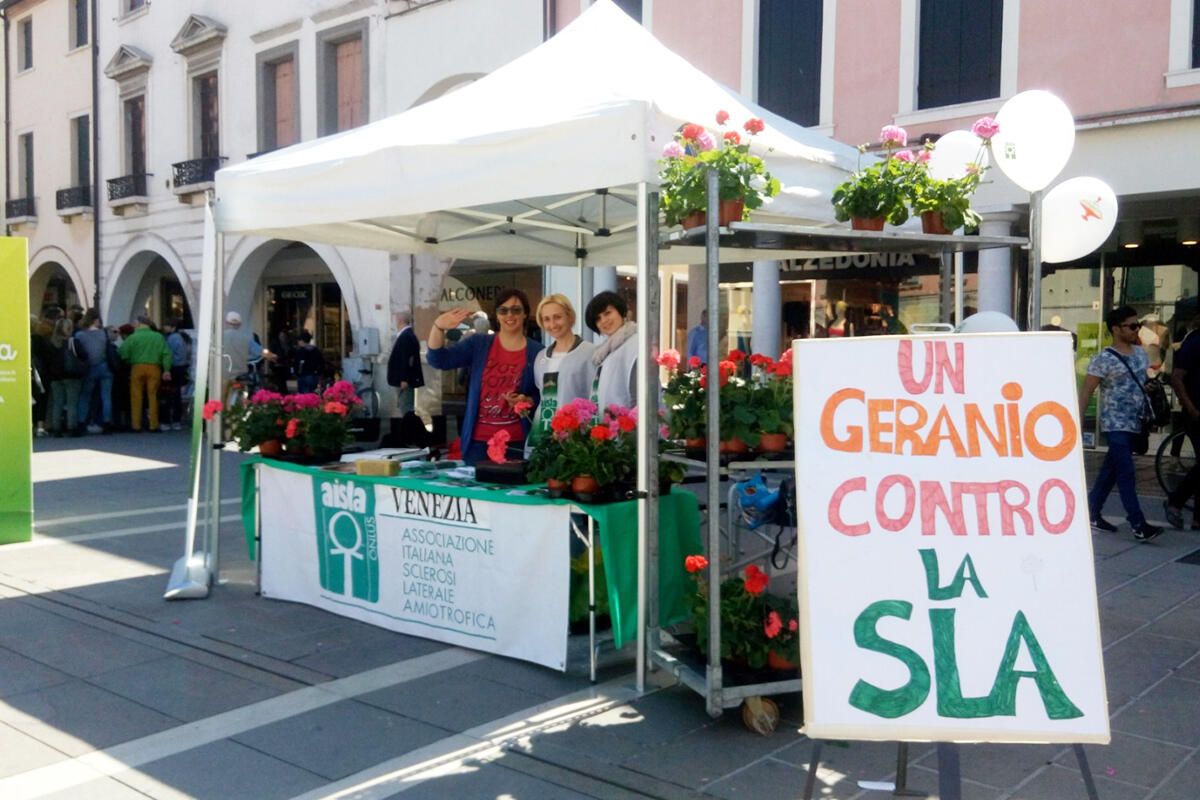 gazebo-geranei-sla-aisla-venezia