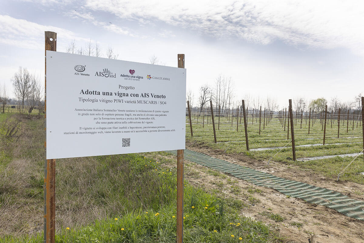 accesso-vigna-casa-di-anna