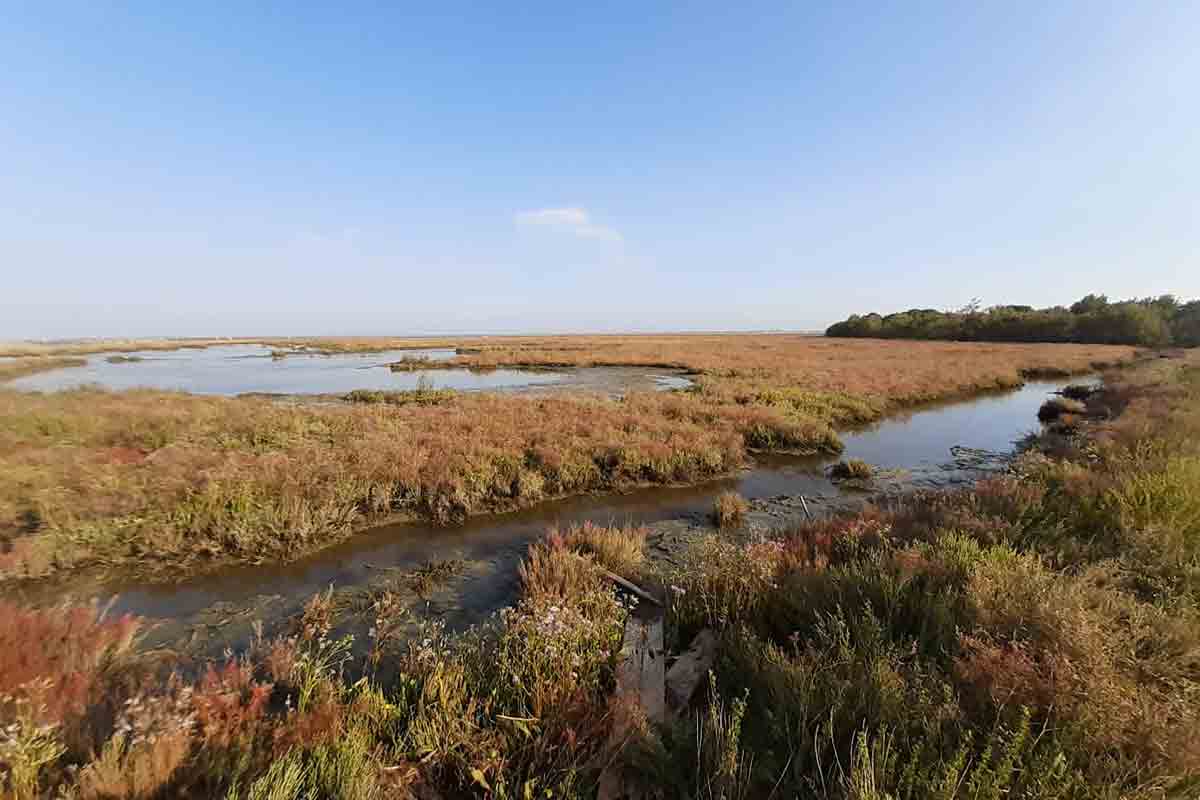 paesaggio-laguna-zone-umide-progetto-grew