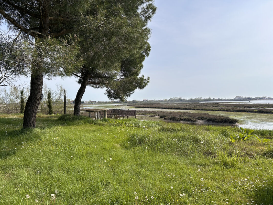 5 frati si prendono cura di San Francesco del Deserto