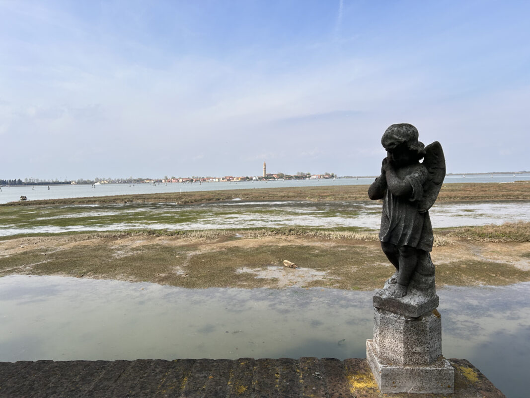 Il bastone di San Francesco in un'isola di Venezia