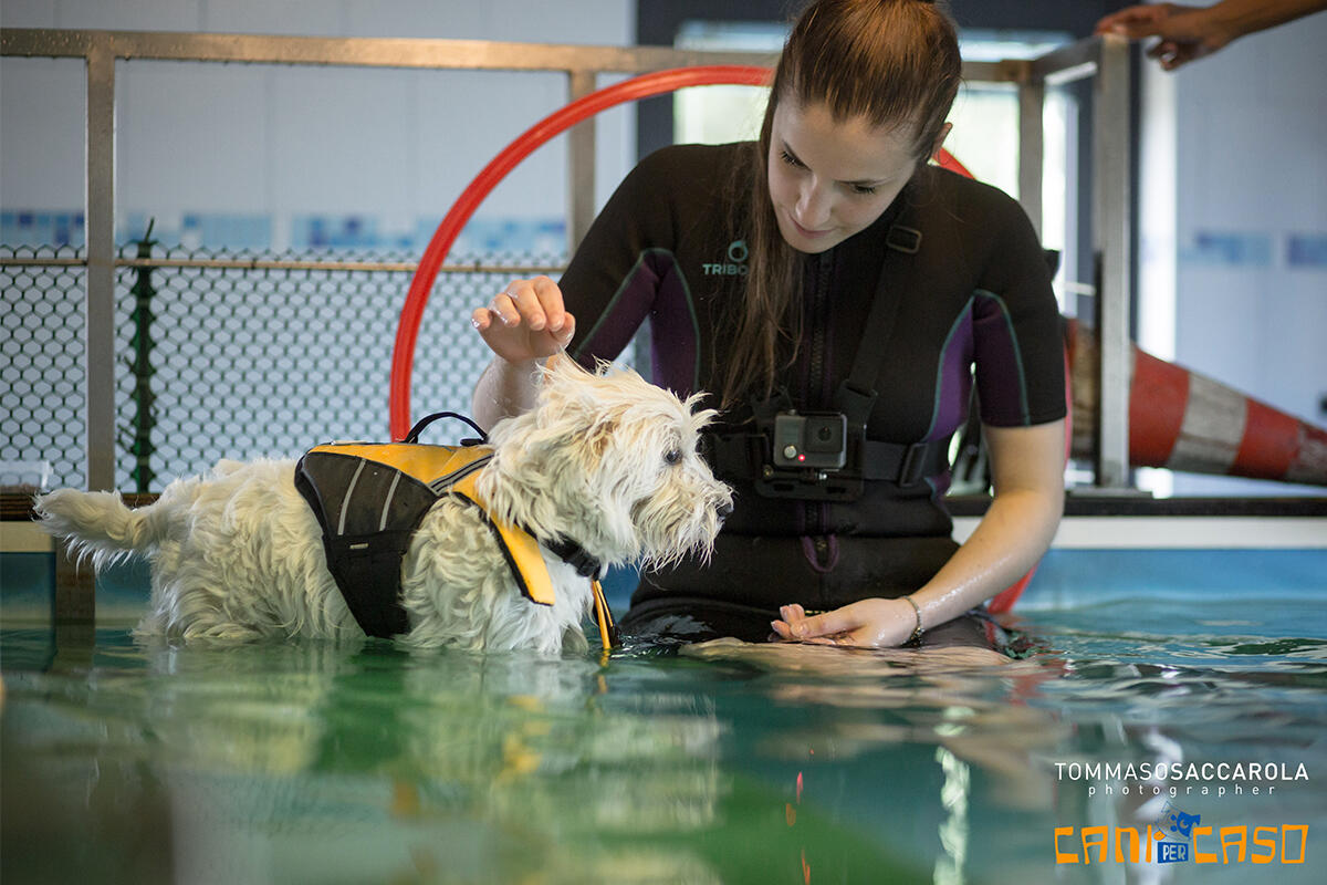 cani-per-caso-allenamento-cani-riabilitazione-piscina-mestre