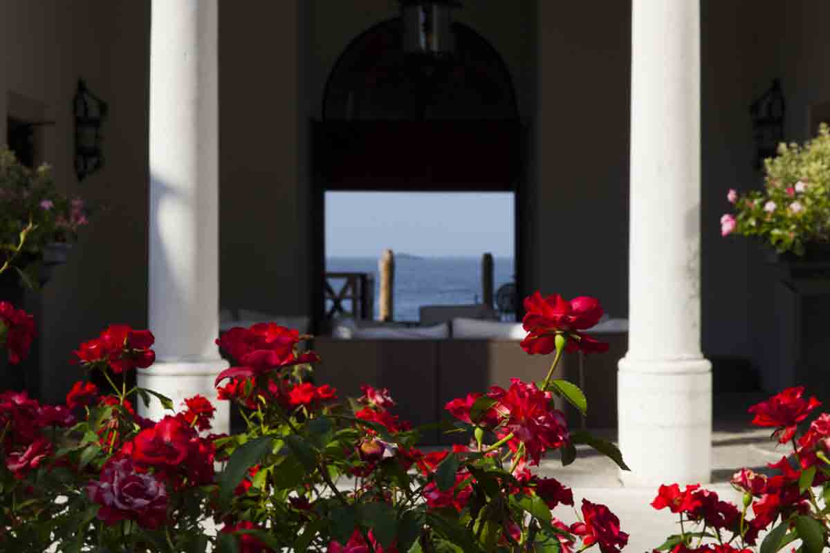 giardino-rizzo-patarol-venezia