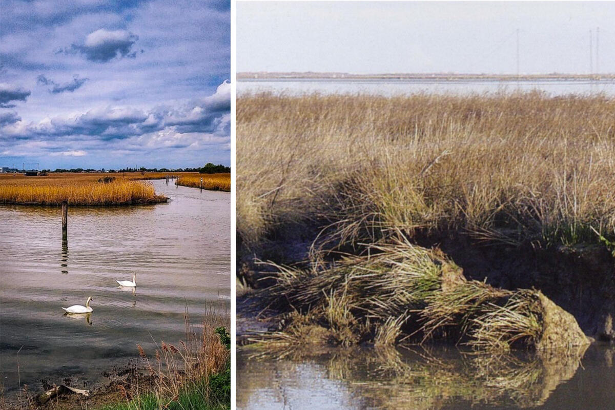 paesaggio-lagunare-laguna-di-venezia