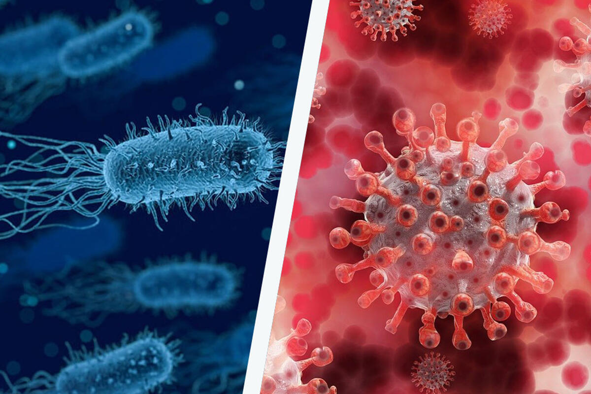 panese-differenza-batteri-virus
