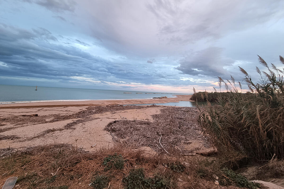 zona-umida-costiera-con-canneto