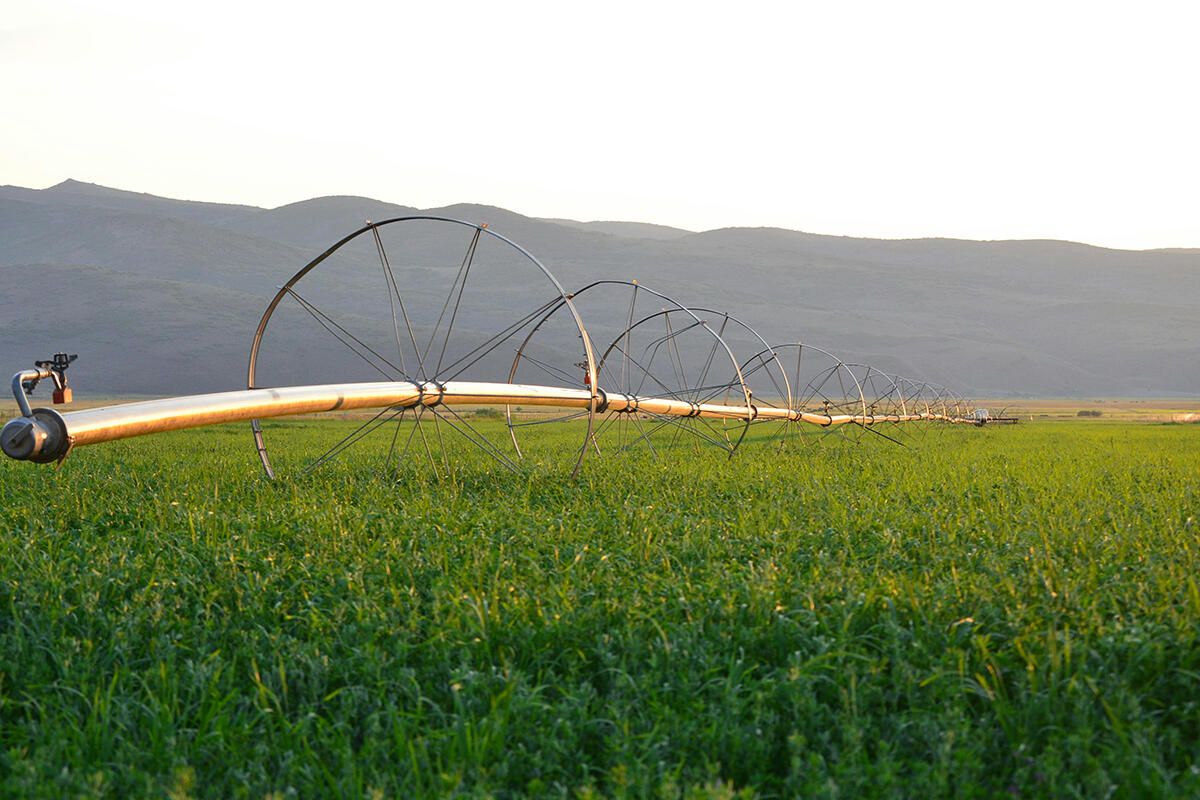 sistema-irrigazione-agricoltura