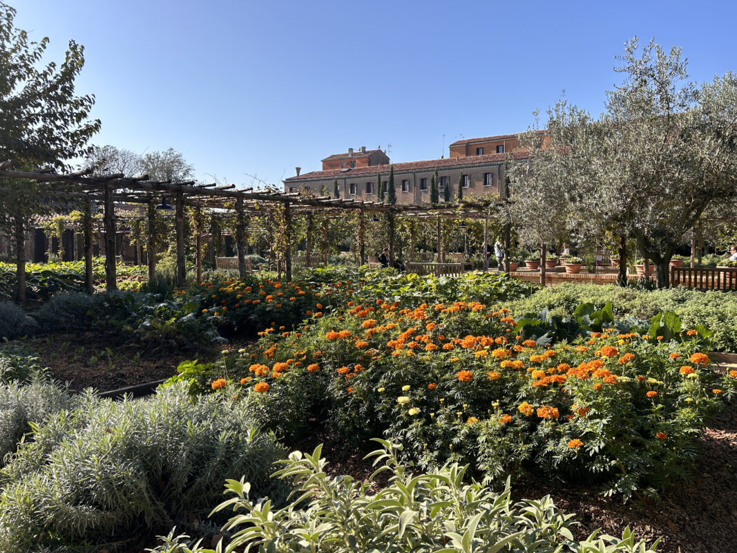 Hortus Redemptoris: il giardino del Redentore apre al pubblico