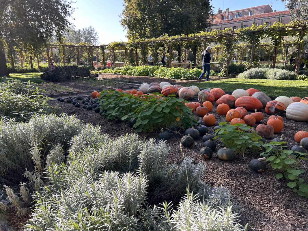 Hortus Redemptoris: il giardino del Redentore apre al pubblico