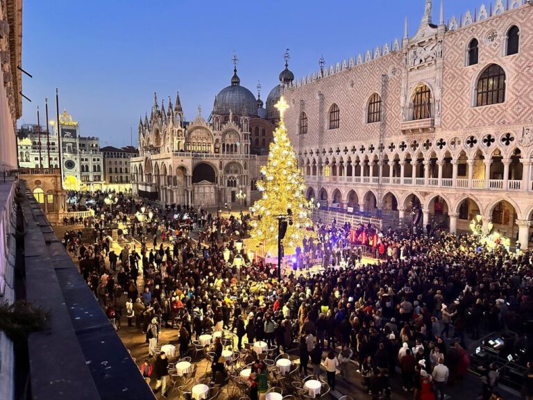 albero venezia