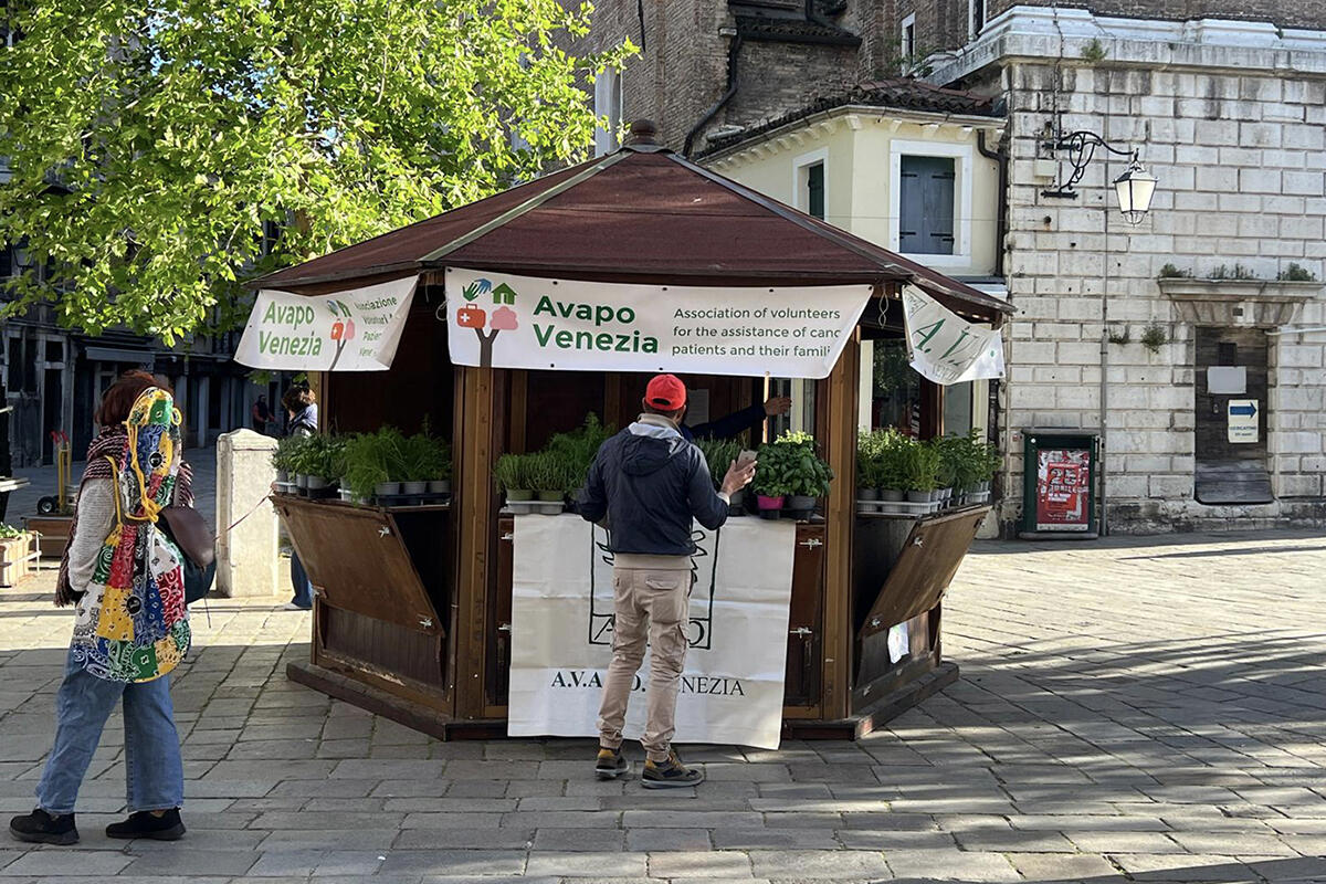 avapo-venezia-vendita-piante-per-raccolta-fondi