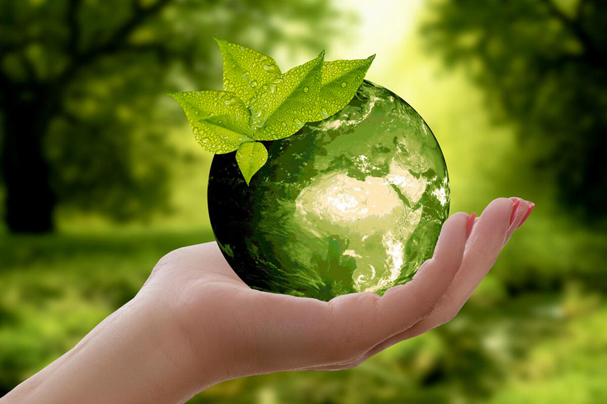 scassola-one-health-salute-globale-ecosistema