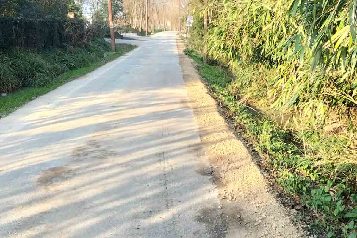 lipu-venezia-fossato-interrato-bosco-di-carpenedo