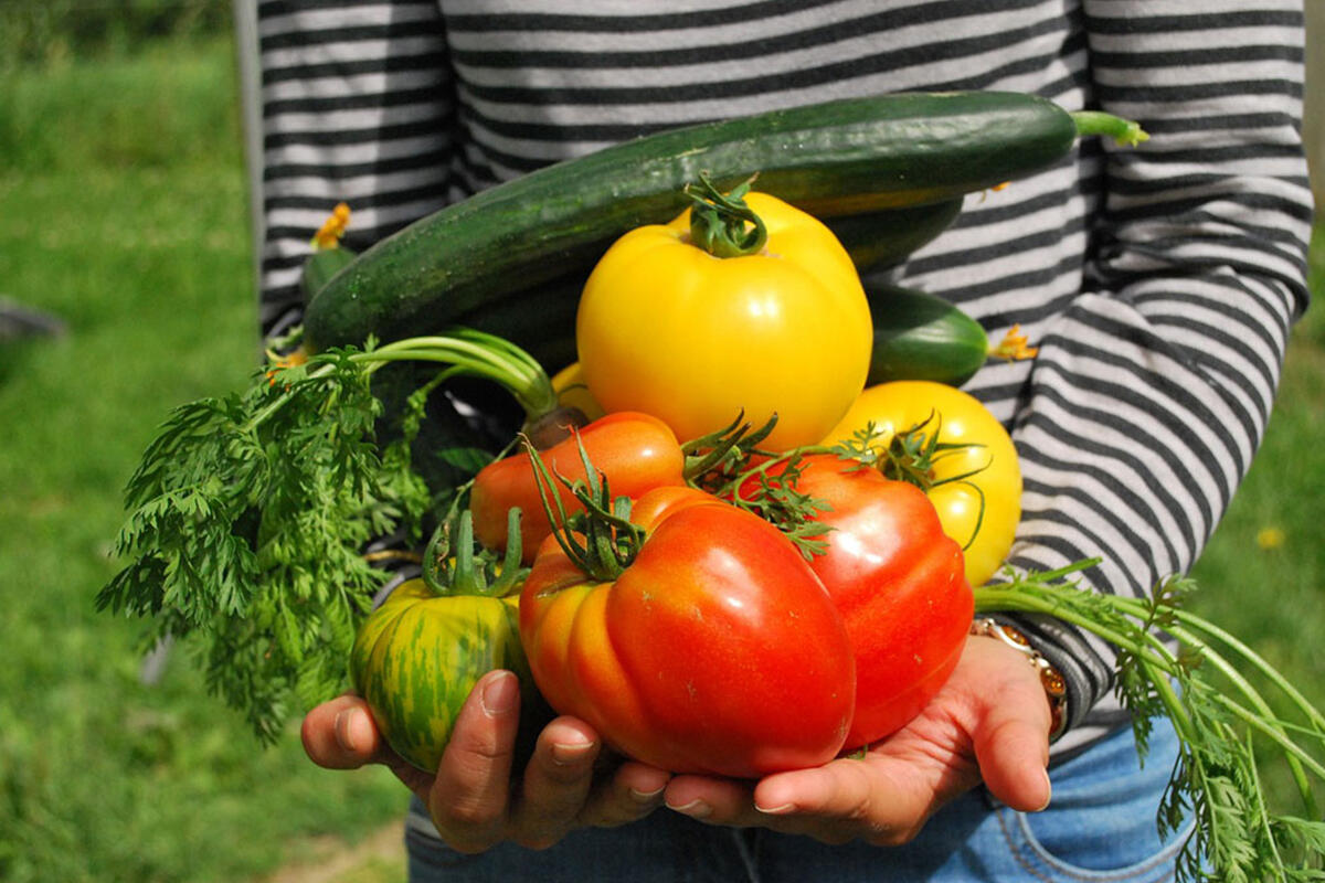 sarasin-ortaggi-e-verdure-per-la-salute