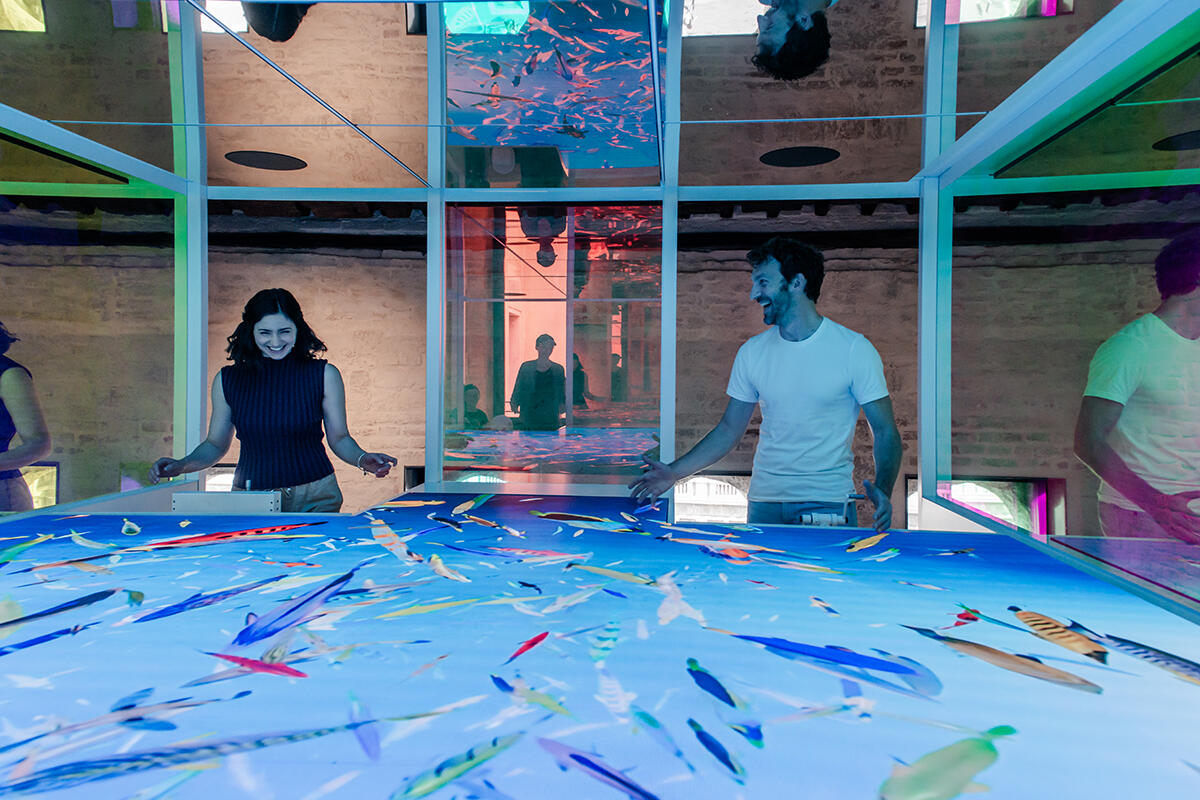 The Human Safety Net esperienza in mostra alle Procuratie Vecchie