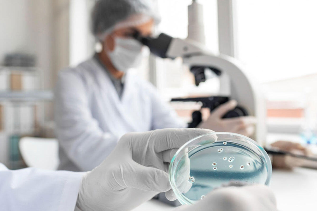 bergamasco-analisi-batteri-in-laboratorio
