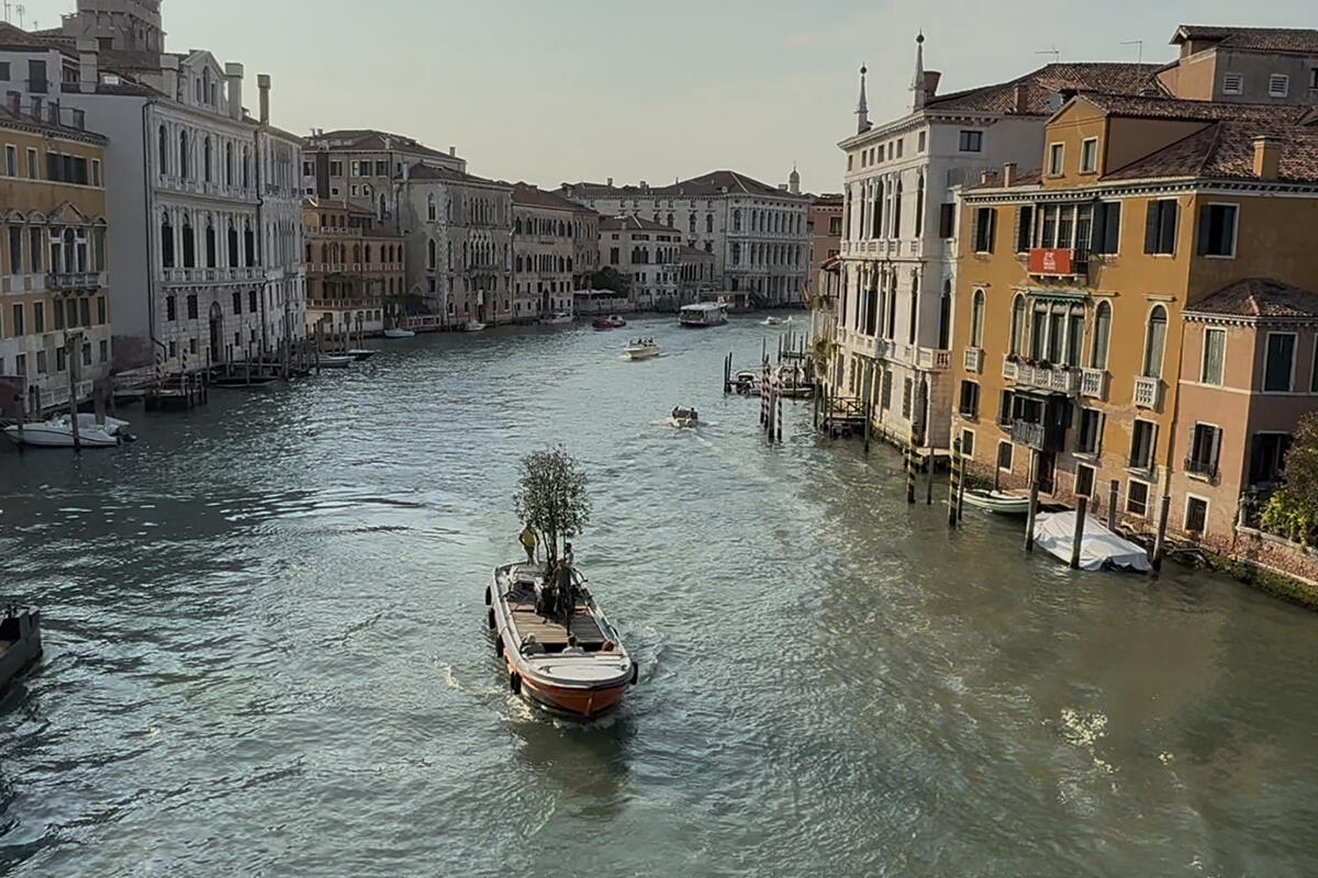 circle4change-albero-e-bicicletta-traghettati-sul-canal-grande-a-Venezia
