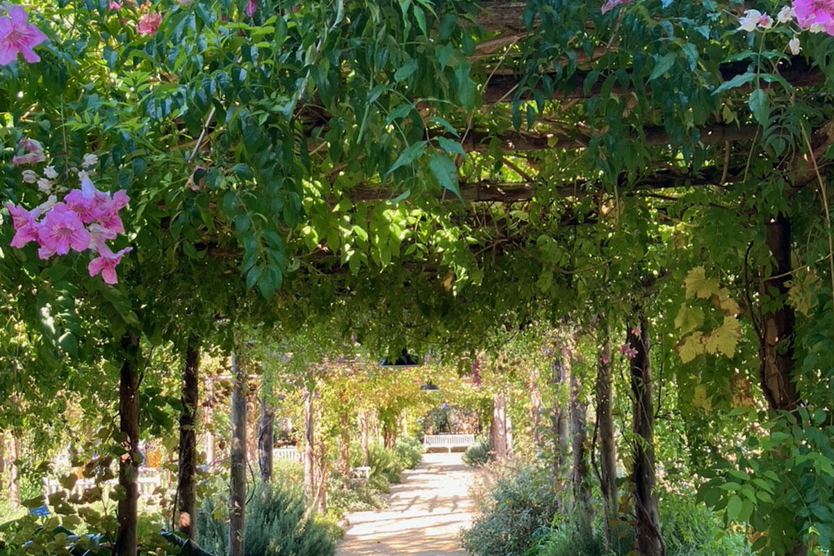venice-garden-foundation-giardino-premiazione