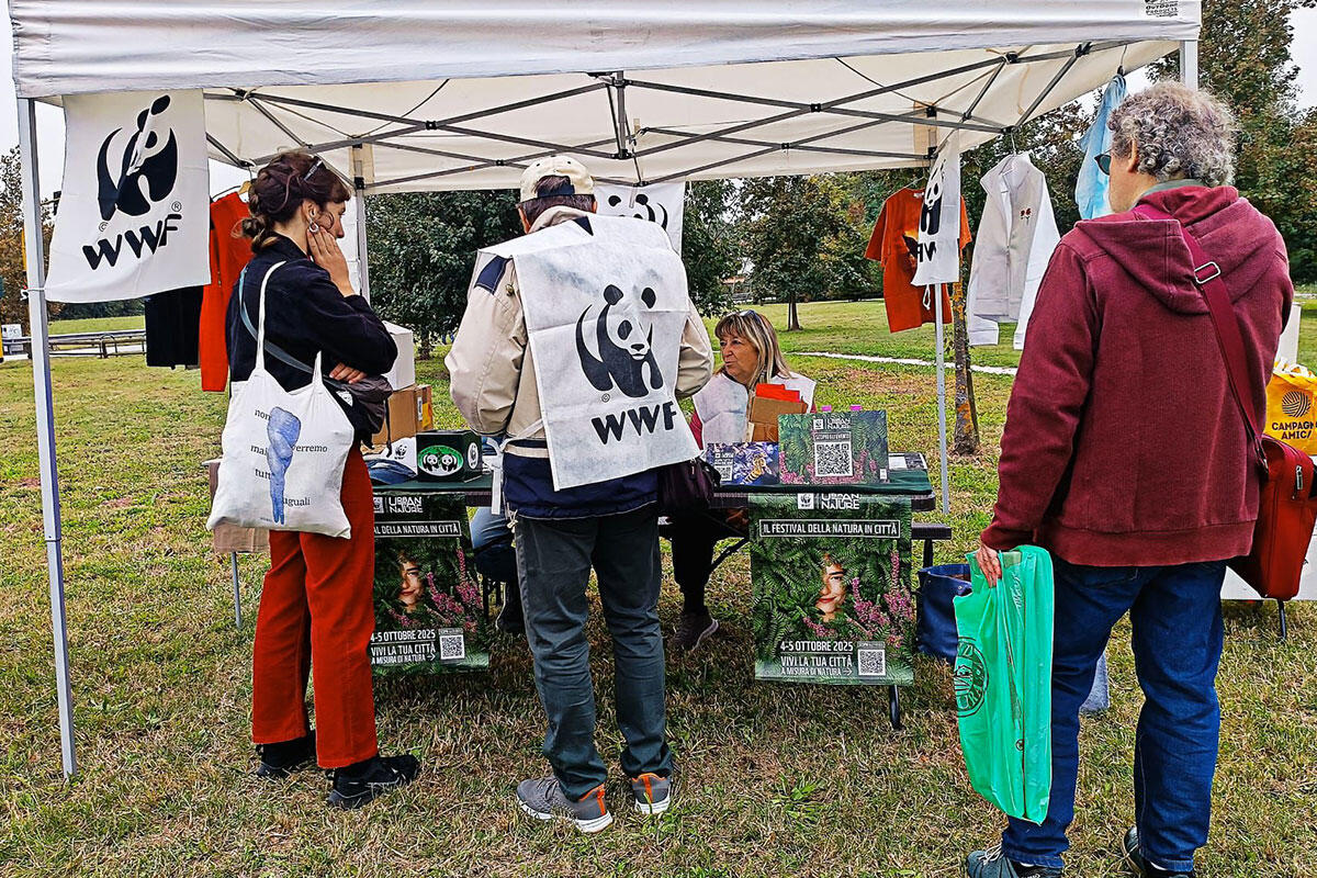 wwf-urban-nature-2025-bosco-di-mestre-gazebo