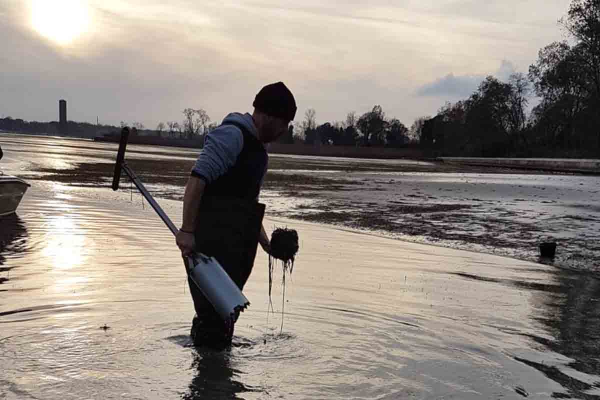habitat-prelievo-zolle-marine-cacciatori-laguna