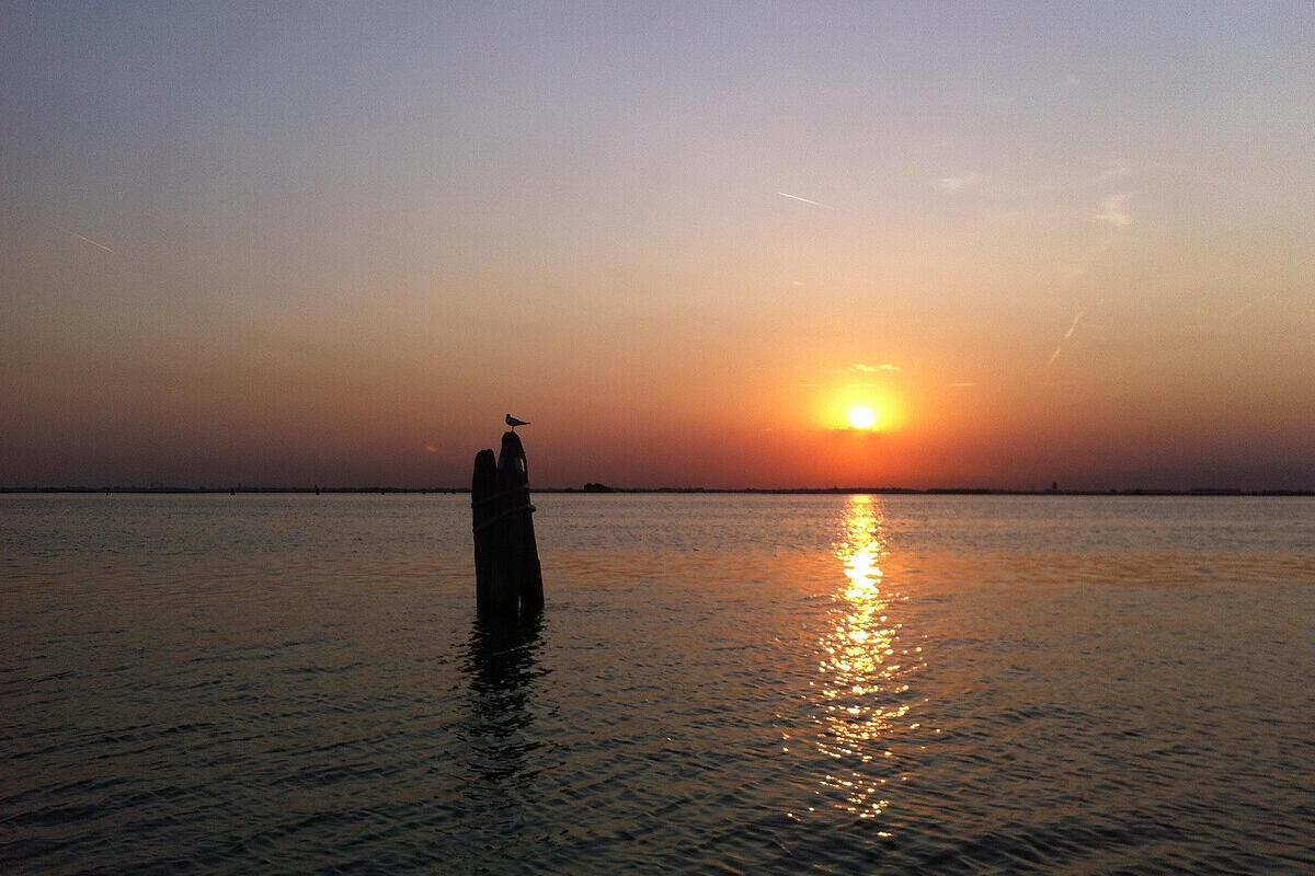 sea-for-change-laguna-di-venezia