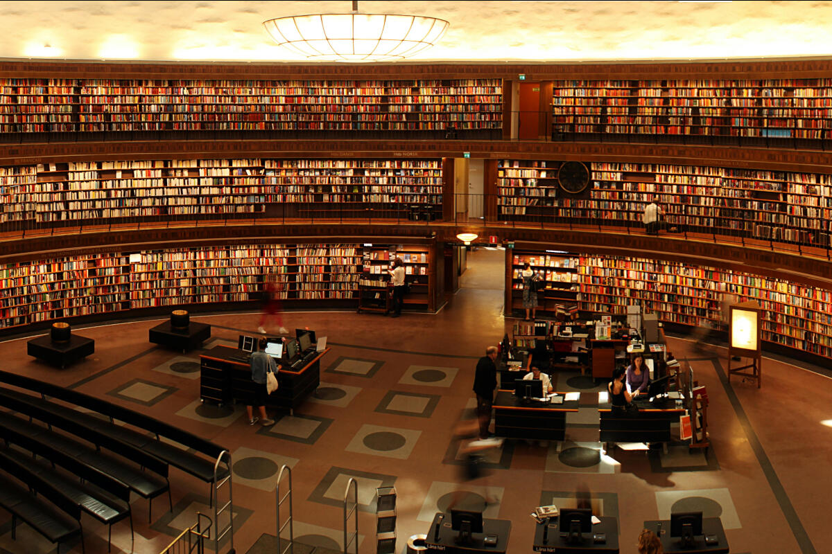 ca-foscari-marie-curie-libreria