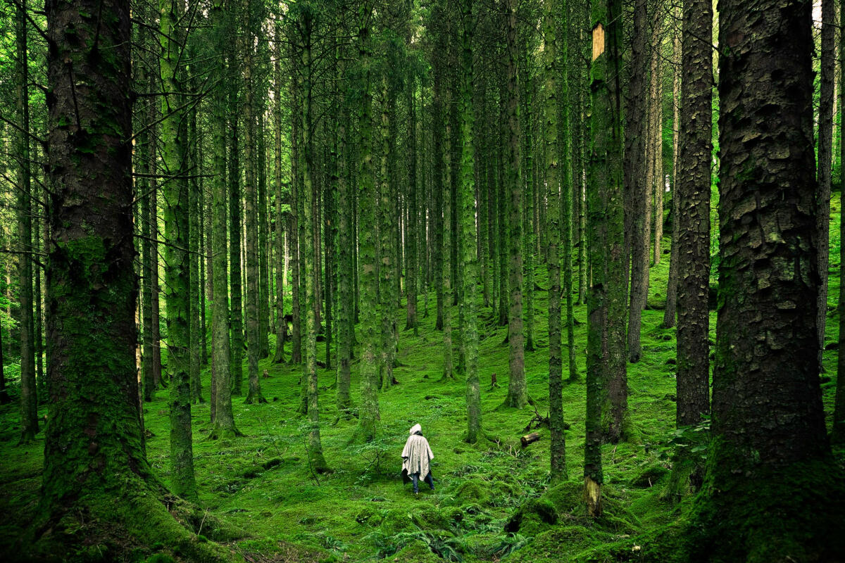 malavasi-biofilia-rapporto-uomo-natura