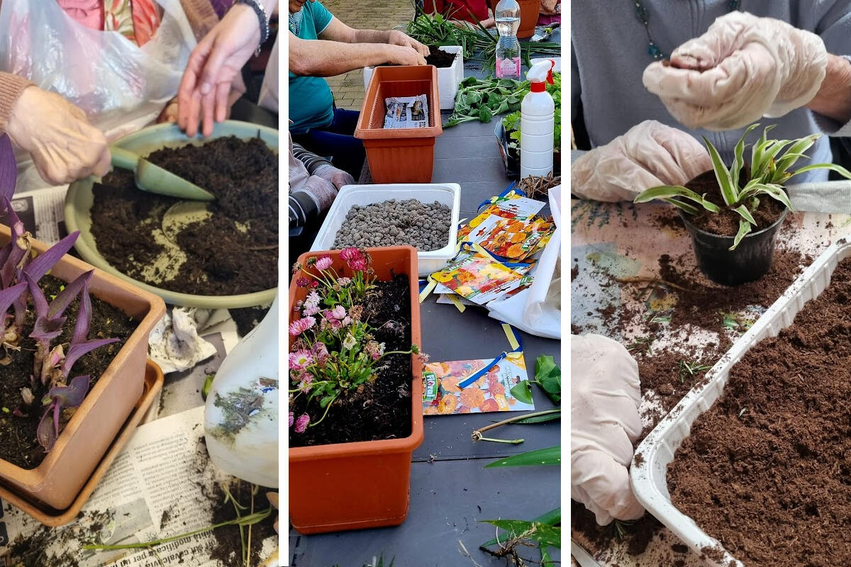 rifiorire-giardino-terapeutico-mestre-soroptimist-portineria-via-piave-attivita-giardinaggio-2