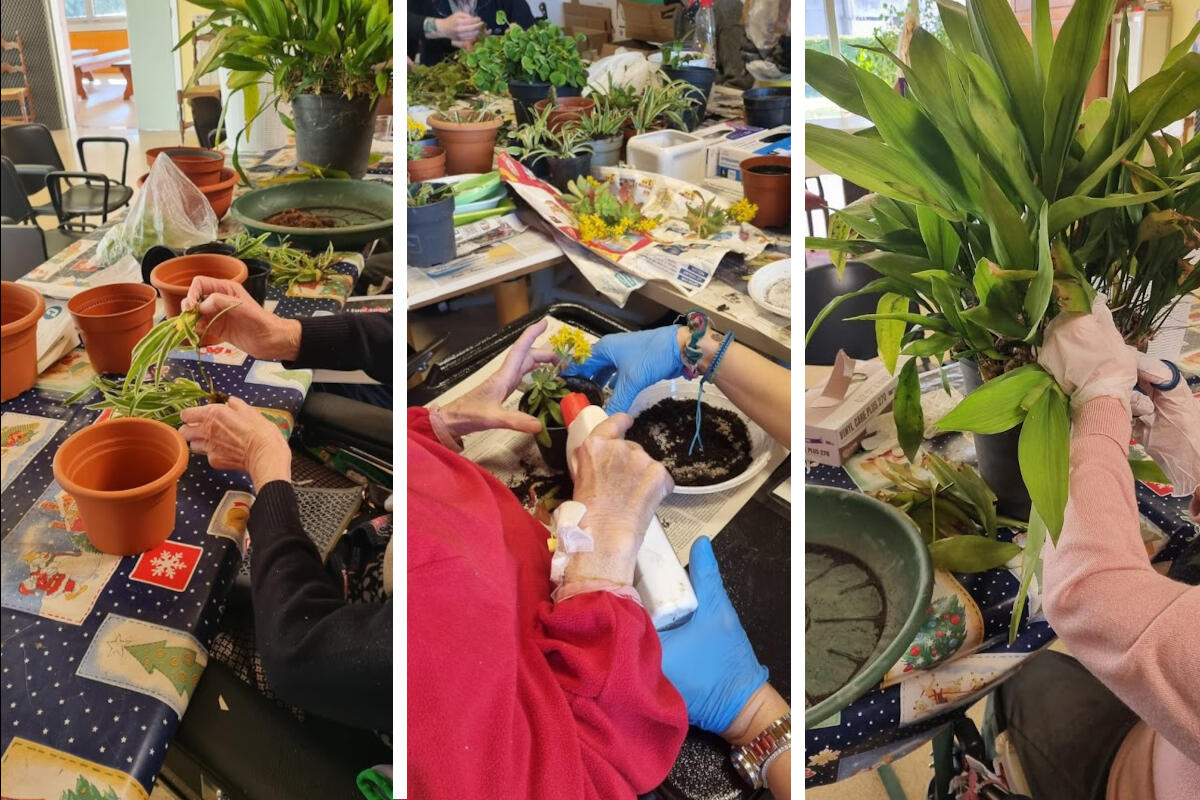 rifiorire-giardino-terapeutico-mestre-soroptimist-portineria-via-piave-attivita-giardinaggio
