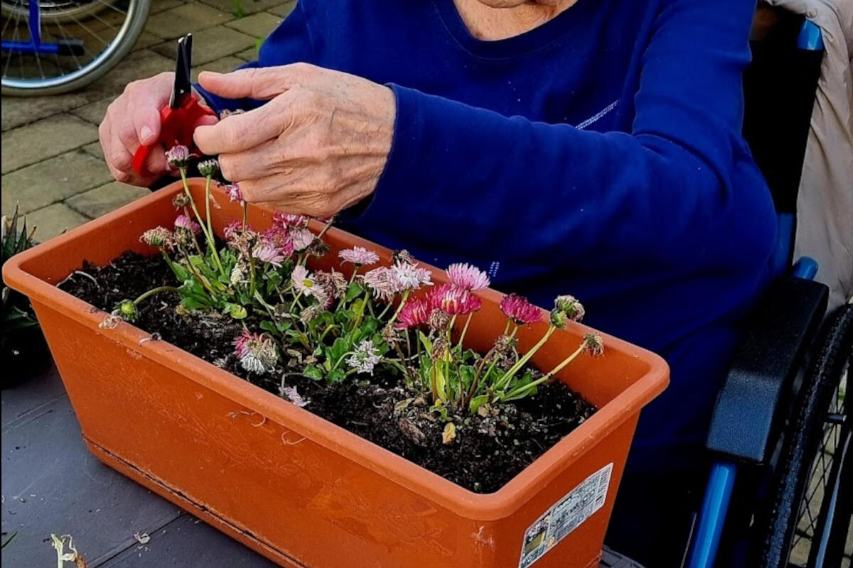 ifiorire-giardino-terapeutico-mestre-soroptimist-portineria-via-piave