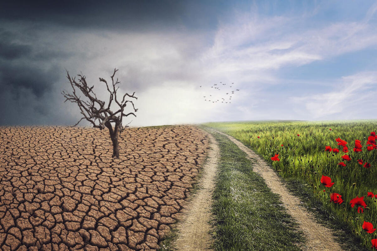 panese-cambiamento-climatico-virus