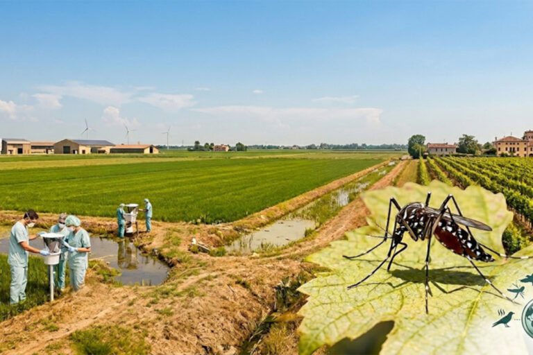 panese-clima-e-virus-malattie-infettive